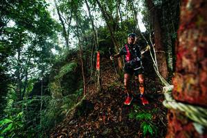 BIB: 
                            <button type="button" onclick="openModal(26198339)" class="btn btn-primary btn-sm float-right btn-popup" data-toggle="modal" data-target=".modal-high-quality">
                        <i class="fas fa-shopping-cart"></i> Add to Cart
                    </button>
                                            <button type="button" onclick="isThisMe(26198339, true)" class="btn btn-success btn-sm float-right btn-popup btn-isme hidden" data-toggle="tooltip" data-placement="bottom" title="นี่คือรูปของคุณใช่ไหม คลิกที่นี่เพื่อเอาเข้าอัลบั้ม">
                        <i class="fas fa-plus"></i> Add to album
                    </button>
                    <button type="button" onclick="isThisMe(26198339, false)" class="btn btn-warning btn-sm float-right btn-popup btn-isnotme hidden">
                        <i class="fas fa-ban"></i> Remove from album
                    </button>